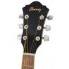 Ibanez SGT 110 NT acoustic guitar