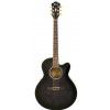 Ibanez AEL 20 E TK acoustic guitar with EQ