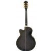 Ibanez AEL 20 E TK acoustic guitar with EQ