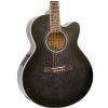 Ibanez AEL 20 E TK acoustic guitar with EQ