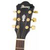 Ibanez AEL 20 E TK acoustic guitar with EQ