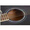 Ibanez AEL 20 E TK acoustic guitar with EQ