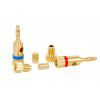 Vitalco 00332 gold-plated plug, pair