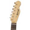 Richwood RET 110 VW electric guitar telecaster
