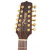 Takamine EG345C Acoustic/Electric Guitar 12-string