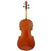 Hoefner AS-060C 4/4 cello (set)