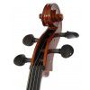 Hoefner AS-060C 4/4 cello (set)