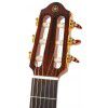 Yamaha SLG 120 NW Light Amber Burst