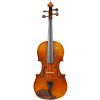 Paesold PA401E 4/4 violin ″Allegro″ (set) Paesold PA401E 4/4 violin ″Allegro″ (set)