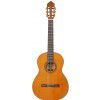 Baton Rouge DF44 C classical guitar