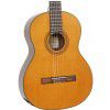 Baton Rouge DF44 C classical guitar
