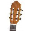 Baton Rouge DF44 C classical guitar