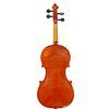 Strunal 205wA Violin 4/4