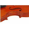 Strunal 205wA Violin 4/4