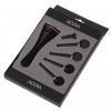 AN Violin Pegs, Tailpce, Endbutton Set 4/4 a la Hill heart ebony, gold fret