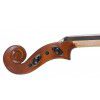 CarloGiordano VS-1 violin 3/4 (kpl.)