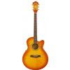 Ibanez AEL 20 E VV acoustic guitar with EQ