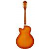 Ibanez AEL 20 E VV acoustic guitar with EQ