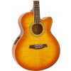 Ibanez AEL 20 E VV acoustic guitar with EQ