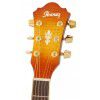 Ibanez AEL 20 E VV acoustic guitar with EQ