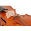 Verona Violin FT-V11E 4/4 Student Elite (Set - bow, case)