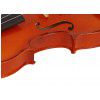Strunal 220 Violin 4/4
