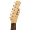 Richwood RET 110 BK electric guitar telecaster