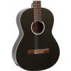 BatonRouge LM Perlanegra classical guitar with EQ