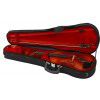 Paesold PA400G-V 4/4 Violin Starter Set Paesold PA400G-V 4/4 Violin Starter Set