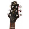 Samick AV1 WR electric guitar