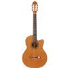 Hoefner HM 65 Z  CE classical guitar with EQ