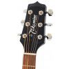 Takamine EG260C TBL