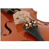 Strunal 220M Violin 1/2 Strunal 220M Violin 1/2