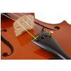 Hoefner H115BG violin 4/4 set (bow, case)