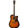 EverPlay AP-302EQ  acoustic guitar with EQ cutaway