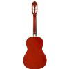 Valencia CG 1K34WR classic guitar Valencia CG 1K34WR classic guitar