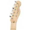 Fender Am. Telecaster Standard MN 2TS electric guitar