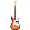 Fender American Stratocaster RW SSB electric guitar