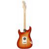 Fender American Stratocaster RW SSB electric guitar