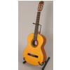 Aragon MA09 Acoustic Guitar