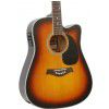 T.Burton Forresthill W CE BS acoustic guitar with EQ