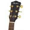 T.Burton Forresthill W CE BS acoustic guitar with EQ