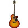 T.Burton Forresthill J CE BS acoustic guitar with EQ