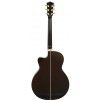 T.Burton Forresthill J CE BS acoustic guitar with EQ