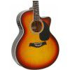 T.Burton Forresthill J CE BS acoustic guitar with EQ