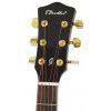 T.Burton Forresthill J CE BS acoustic guitar with EQ