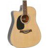 T.Burton Riverside W CE N L acoustic guitar with EQ