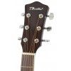 T.Burton Riverside W CE N L acoustic guitar with EQ