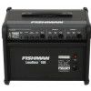Fishman EX4 guitar amplifier