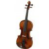 Paesold AS-160V 4/4 violin (set)